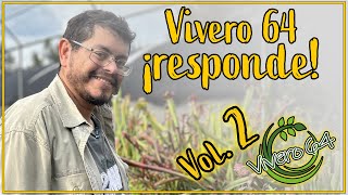 v64 responde vol2, ¡Respondemos las preguntas del público!