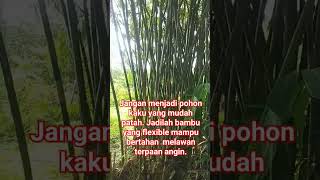 Jangan menjadi pohon kaku yang mudah patah, jadilah seperti bambu.