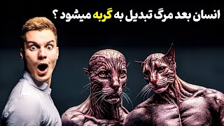 تناسخ چیست؟ آیا انسان بعد از مرگ تبدیل به حیوان یا گیاه و... می‌شود؟ - قسمت دوم