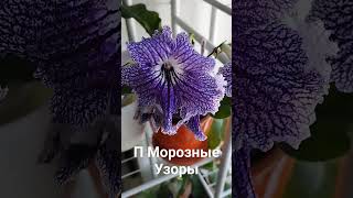 П Морозные узоры