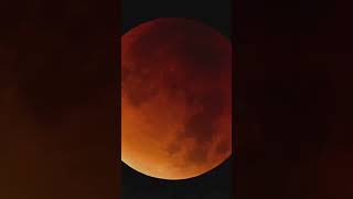 "bloody moon" during total lunar eclipse. #moon #space #science #jupiter #earth  #shorts