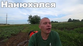 От такого запаха стало весело.Обрабатываем картофель.Своя грядка.