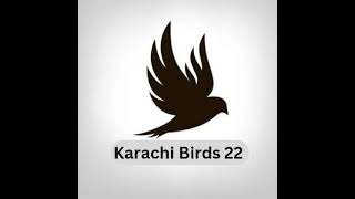 Karachi Birds 22 is live!