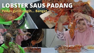 Resep Lobster saus padang | Anti ribet di jamin nagih!