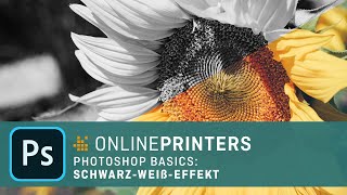 Schwarz-Weiß-Effekte in Photoshop erzeugen – Basics Tutorial