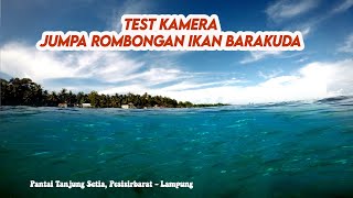 test kamera Gopro 5 black bertemu ikan BARAKUDA || Anak Laut