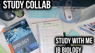 STUDY WITH ME: IB BIOLOGY | studycollab: alicia