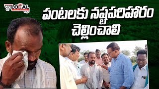 వడగళ్ల వాన వల్ల  నష్టపోయిన రైతులకు ప్రభుత్వం వెంటనే ఆదుకోవాలి | అంబర్ సింగ్ | Pura Local News