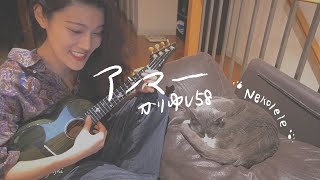 Japanese song on ukulele - with sleeping kitty