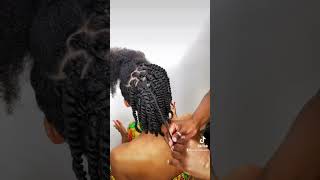 Two Strand Twist on 4C Natural Hair | Protective Hairstyle