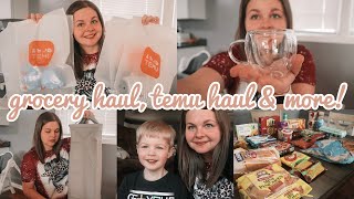 Grocery Haul, Temu Haul + MORE!