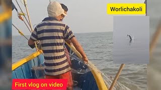 fishing bhiljafish, dolfin jump, deep sea fishing, #worlichakoli#first#agrikoli