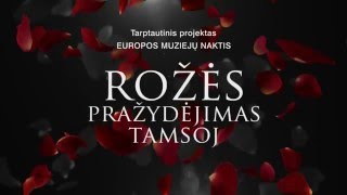 Europos muziejų naktis Šiauliuose 2016