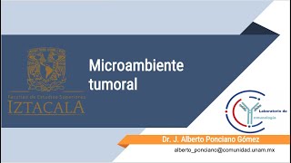 Microambiente de la CSC