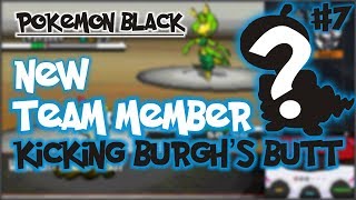 Pokemon Black - [Ep.7] New Team Member Kicking Burgh's Butt!