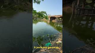 Muito lambari e neste não vimos jacarés playlist Aventuras pelo MS   #canal #girassol #motorhome