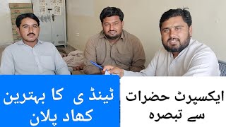 ٹینڈی فصل کا بہترین کھاد پلان|اسکواش| Squash|