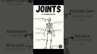 Joint of human skeleton #shorts #humanbody #joints #nursing ##shortsfeed