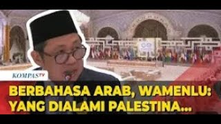 Pidato Wamenlu di KTT Luar Biasa Berbahasa Arab, Bahas Soal Palestina