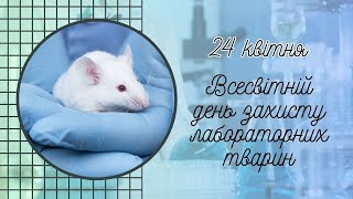 24 квітня - Всесвітній день захисту лабораторних тварин