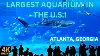 Largest Aquarium in USA Walking Tour