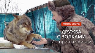 Ручные волки. Сюжет программы «Жизнь своих» #Первыйканал