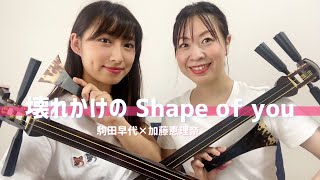 エドシーランcover 津軽三味線✖️民謡【 壊れかけのShape of you 】　　　　　　　　　　（民謡歌手  加藤恵理奈 / 津軽三味線日本一  駒田早代 ）