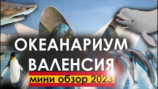 Oceanogràfic Валенсия 2023: крупнейший океанариум Европы