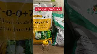 How to get high yield of wheat crop whithout Basel Dosage of fertilizer ! New techniques Kisan Ghar