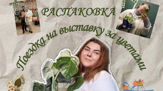 Выставка комнатных растений г. Кемерово