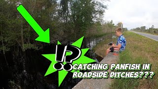 Catching Panfish in Roadside Ditches??