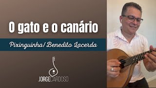 O GATO E O CANÁRIO (Pixinguinha/Benedito Lacerda) | JORGE CARDOSO - Bandolim