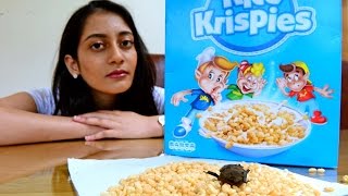 Teen Finds Dead Bat in Her Rice Krispies