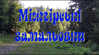 Міжгірські замальовки, Карпати (2024)