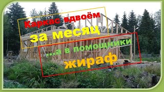 Как построить каркас своими руками. Как поднять стену с помощью жирафа. Переезд в Карельскую деревню