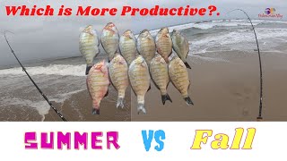 Surfperch Fishing SUMMER VS FALL video Compilations.