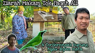 Ziarah Makam Tok Faqeh Ali & terserempak burung hijau depan mata, Kelantan | HISYAM Channel