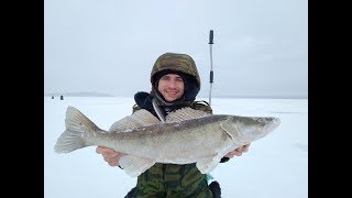 Волжский судак 2017! Всех с наступающим Новым годом!