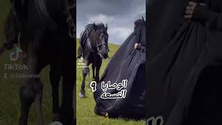 الوصايا التسعة👈 ٩