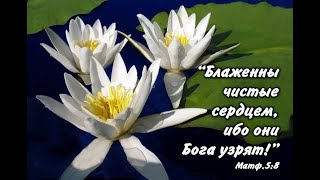 "Блаженны чистые сердцем" протоиерей Михаил Швалагин