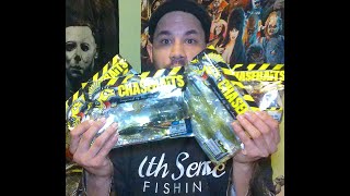 Let's Talk About CHASEBAITS!!! (Underrated Bait Company??)