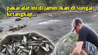 menangkap ikan di sungai menggunakan bubu payung