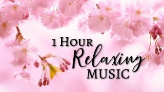 1 HOUR RELAXING MUSIC 🌹 Peaceful Music For Your Mind and Soul