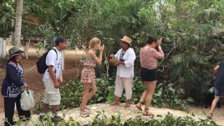 Mexican tradition with water from a conte