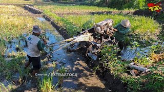 Ganti Ganti Joki Traktor Sawah Dalam Menggarap Lahan