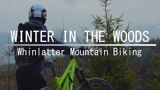 Winter In The Woods | Whinlatter Forest South Loop Mountain Bike Film