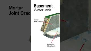 Basement Water Leak #shorts #youtubeshortsviral