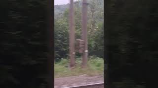 Train, mountines, river. Потяг, гори, річка. Поезд, горы, речка. Карпати. Karpaty.