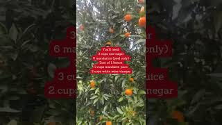 #shorts Raw Mandarin Shrub Recipe