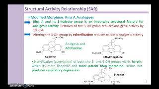 SAR of Morphine